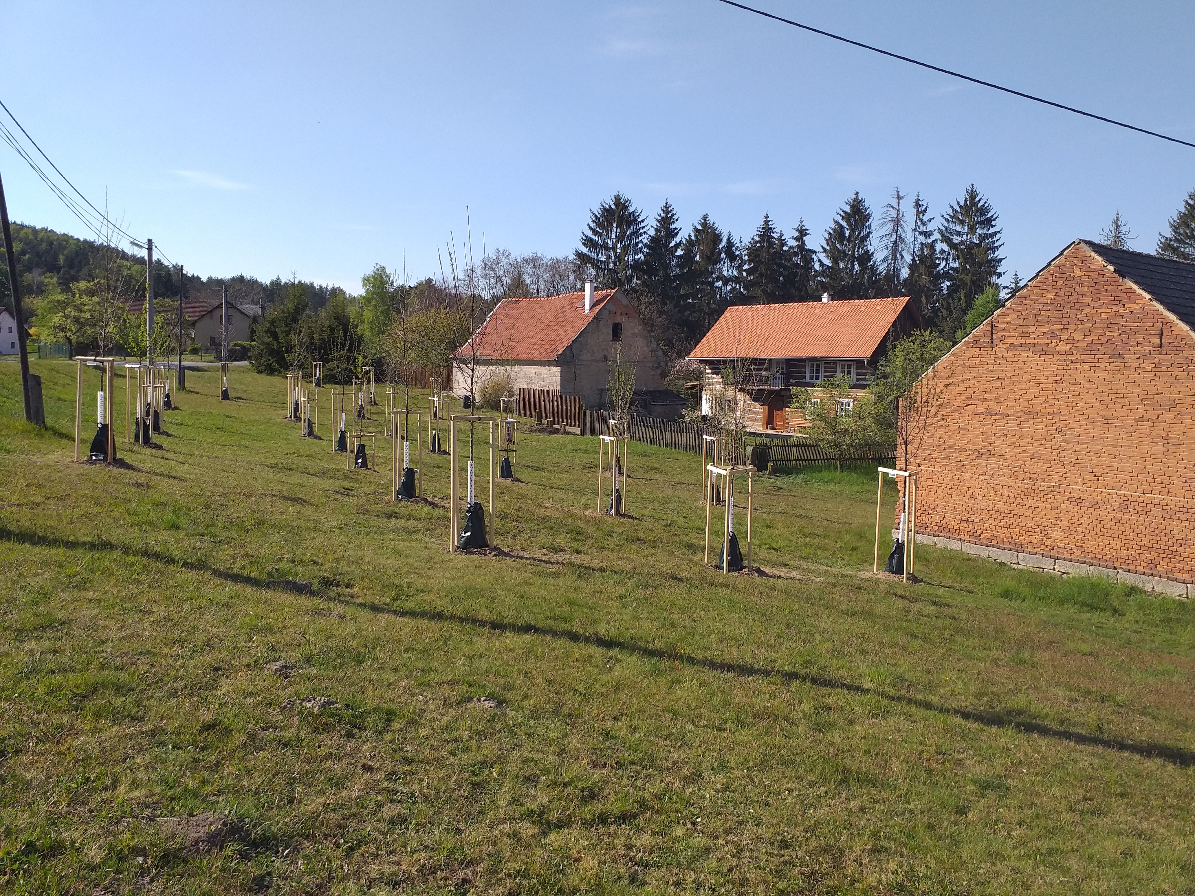 Fotografie Obecního ovocného sadu-Sázení stromů (25.04.2020) v Nosálově - dotace SFŽP