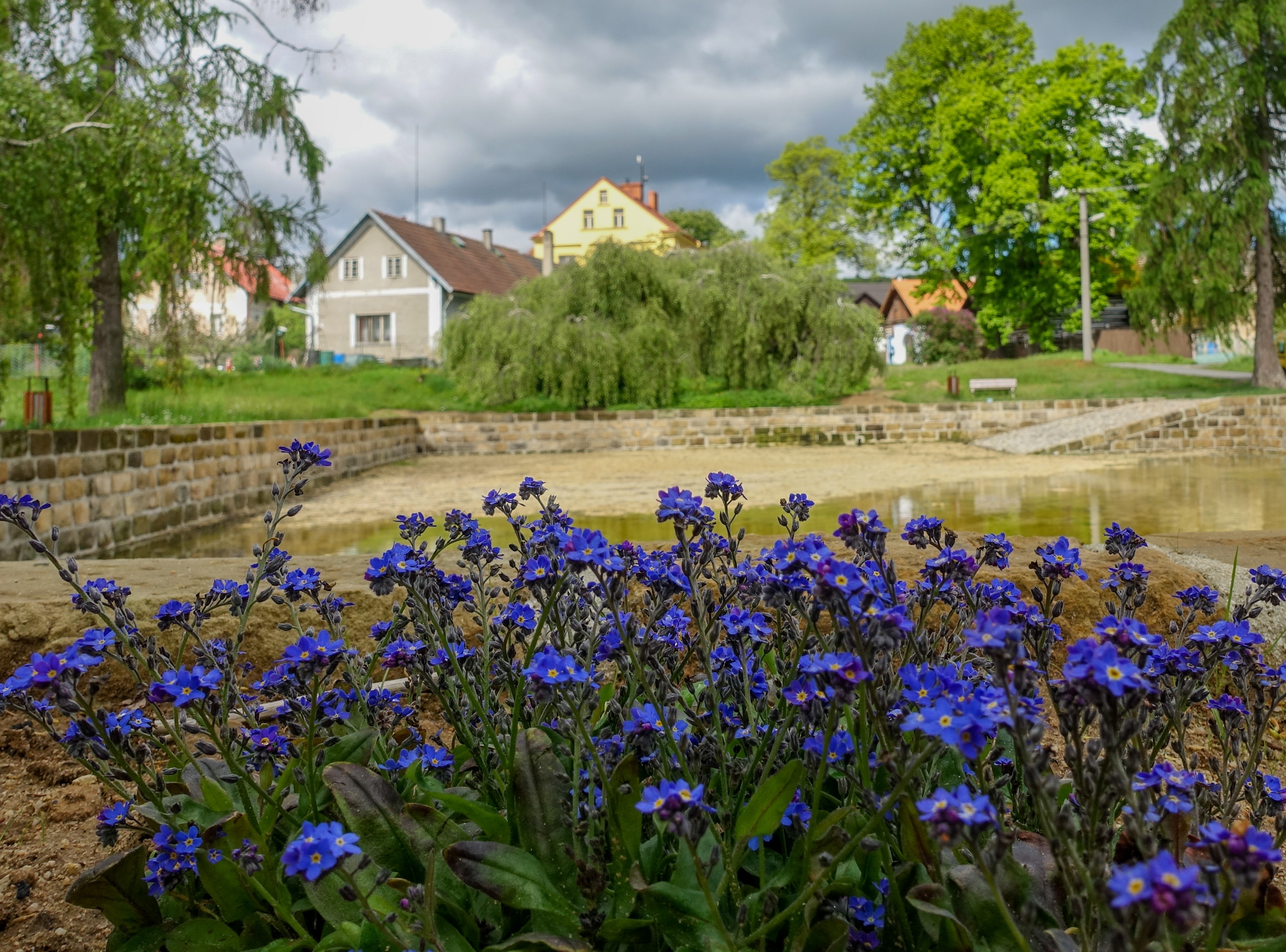 Měnič obrázků - fotografie