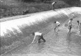 Foto č. 6 z r. 1980-brigáda na požární nádrži v obci Libovice