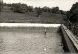 Foto č. 4 z r. 1980-brigáda na požární nádrži v obci Libovice